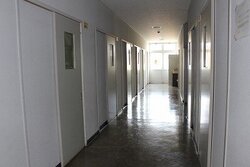 IMG_0774.jpg
