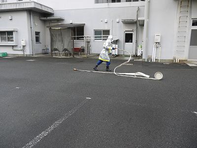 P1140534.jpg